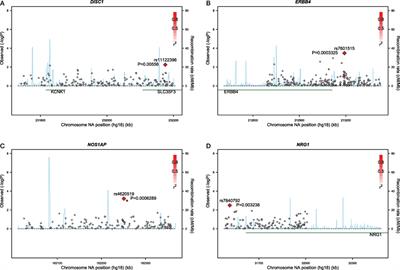 A Gene-Based Analysis of Acoustic Startle Latency